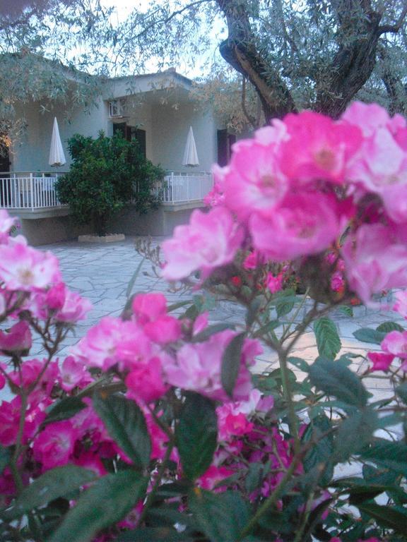 Guesthouse Irene Áfissos Extérieur photo